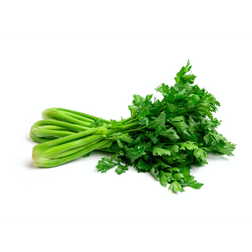 organic-celery-juicing