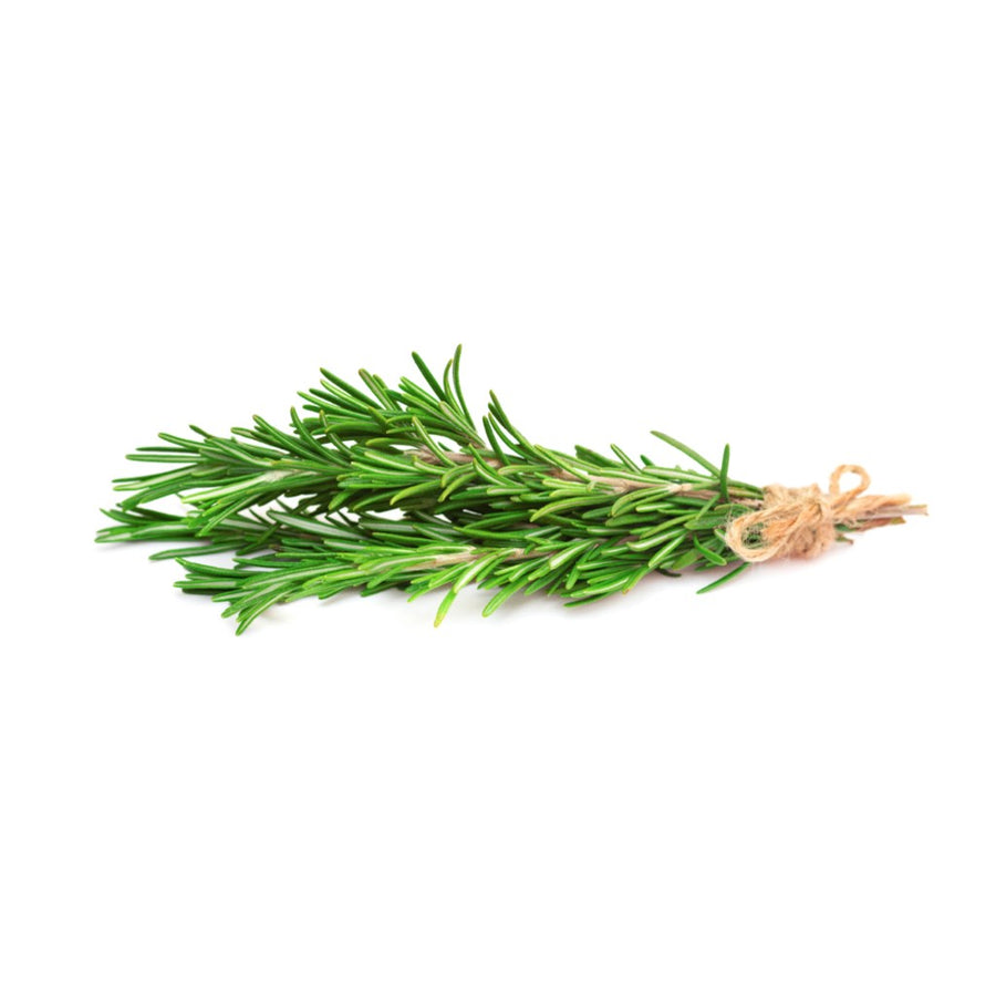 truganic-organic-herbs-hydroponic-rosemary