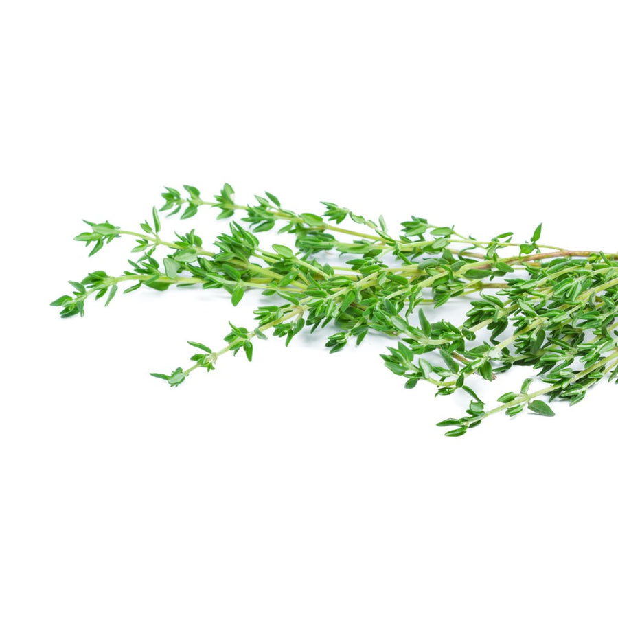 truganic-organic-herbs-hydroponic-thyme