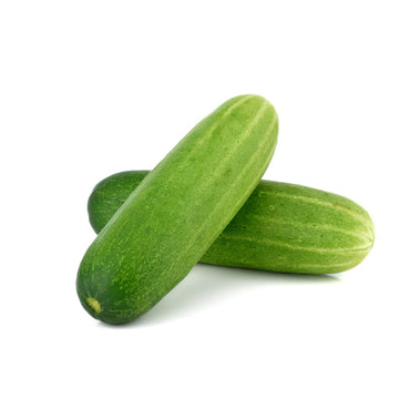 yodeli-farms-organic-cucumber