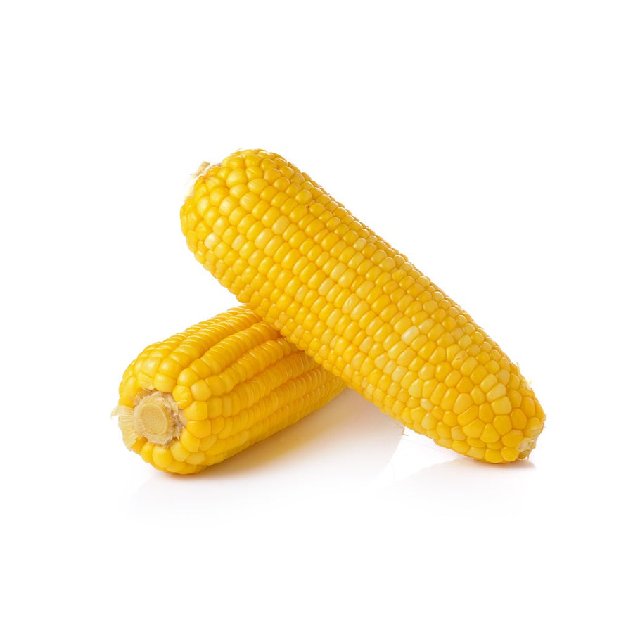 yodeli-farms-organic-sweet-corn
